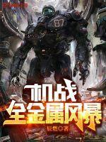 机战全金属风暴TXT免费百度