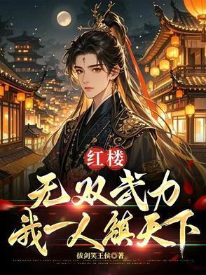 红楼无双武力我一人镇天下免费阅读
