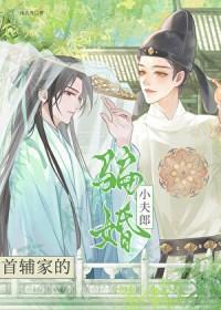 首辅家的小夫郎女尊免费
